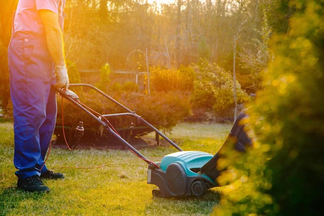 Pros and Cons of Dethatching Lawn